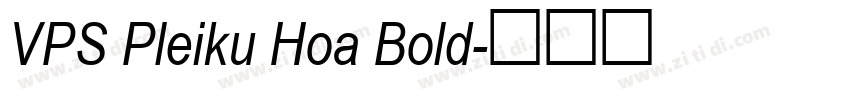 VPS Pleiku Hoa Bold字体转换